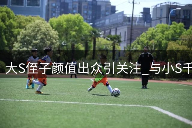大S侄子颜值出众引关注 与小S千金合影尽显明星气质